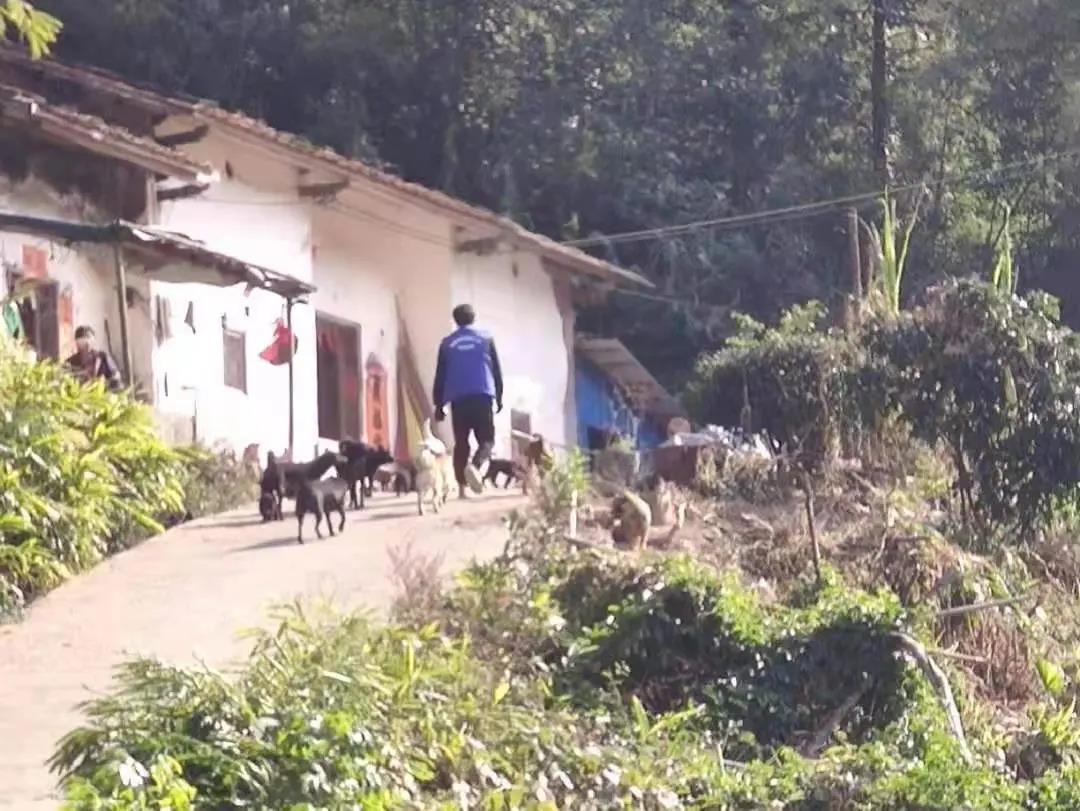 阳春房地一体项目纪实丨无悔青春多砥砺，，，，，，最是奋斗动人心