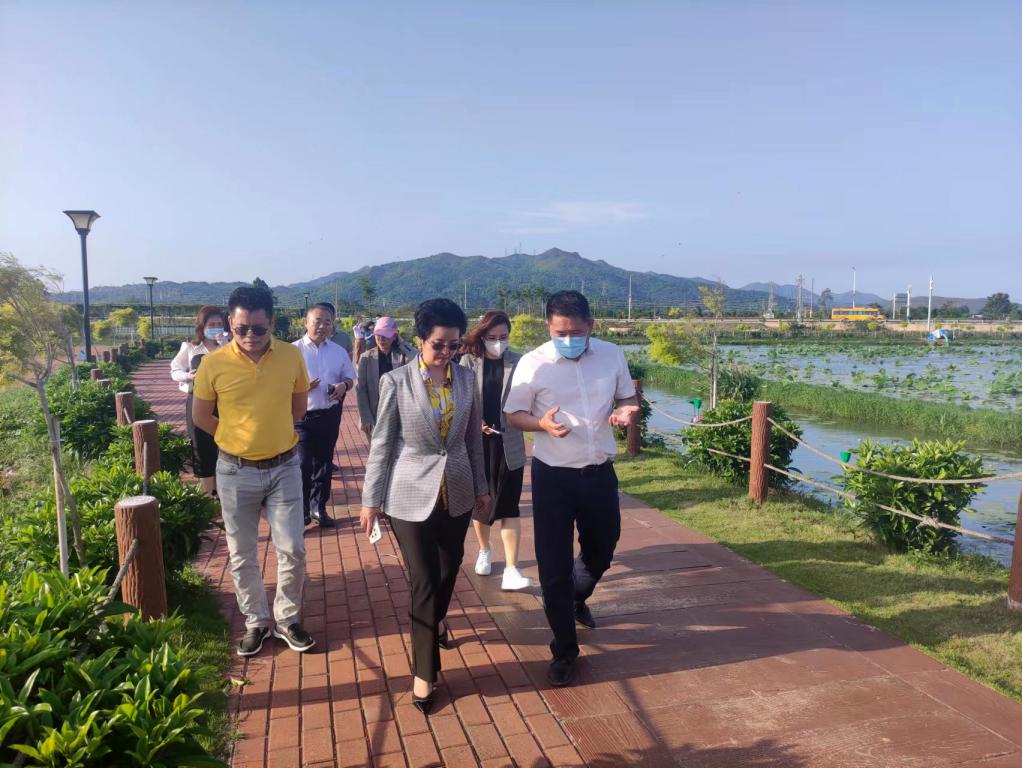 省生态修复协会轮值会长单位ladbrokes立博集团带队赴汕尾全域土地整治军民融合试点项目调研