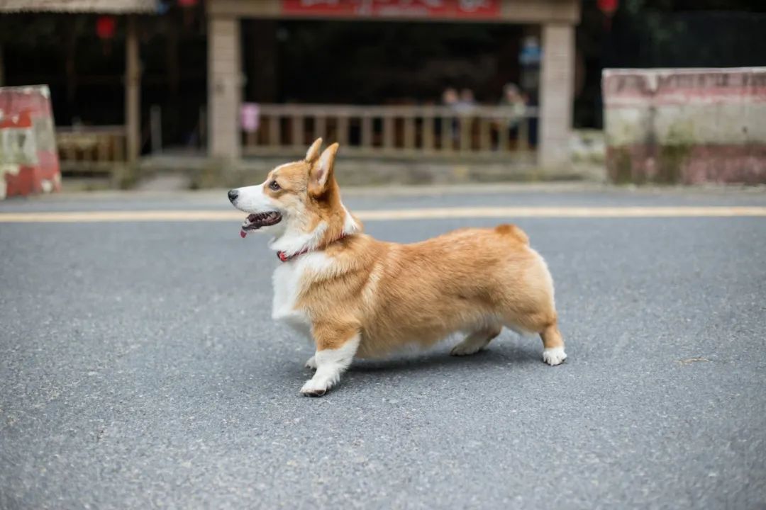 再见，，，，，我的老朋友