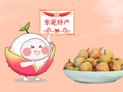 漫话ladbrokes立博丨一颗有“故事”的荔枝！