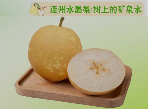 “桃李”酷暑，，，，，，，，清凉一夏