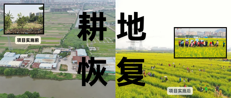 耕地；；；；；；；び刖梅⒄构踩凇甘泻窠终蛩谏缜读继锵钅扛鼗指从氤窍缛诤系拇葱率导